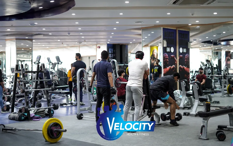 Discover the Top Nutrition: Tips to Maximize Your Gym Performance and Recovery